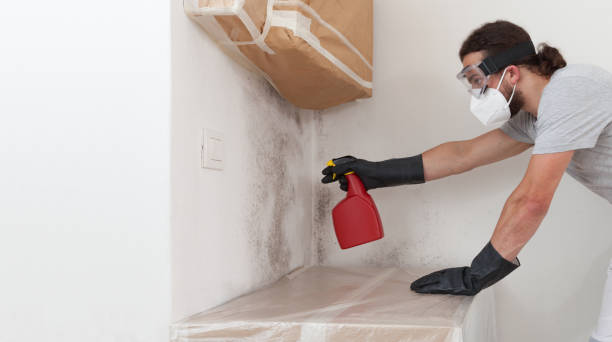 Professional Bathroom Mold Removal technician working in Washington, IL