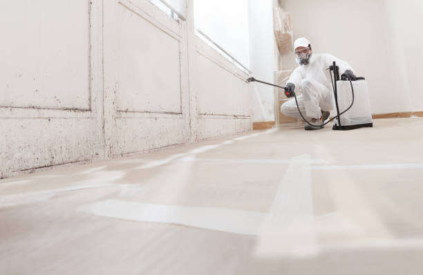 24/7 Emergency Bathroom Mold Removal experts in Washington, IL
